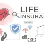 Life Insurance U.S 2024 | Master Guide